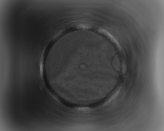 X0000087560637200705181125