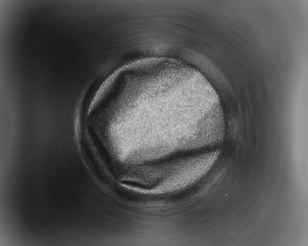 X0000087560638200705181125