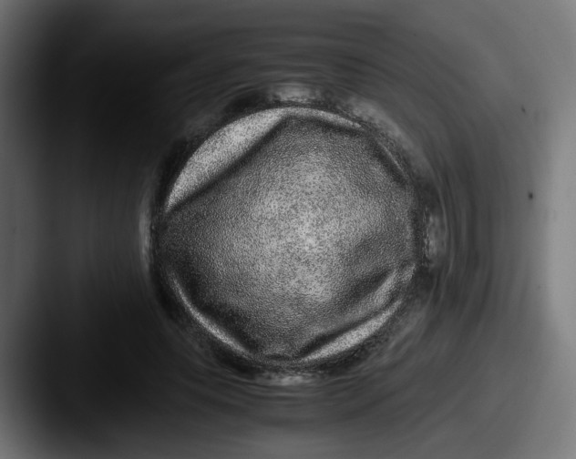X0000087560639200705181125