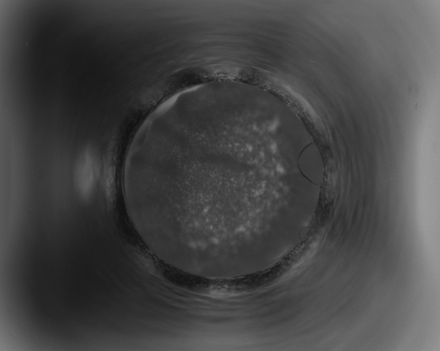 X0000087560641200705181125
