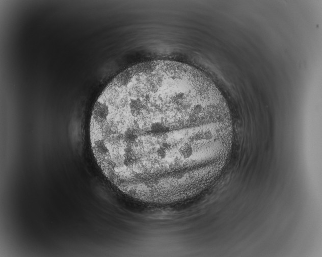 X0000087560642200705181125