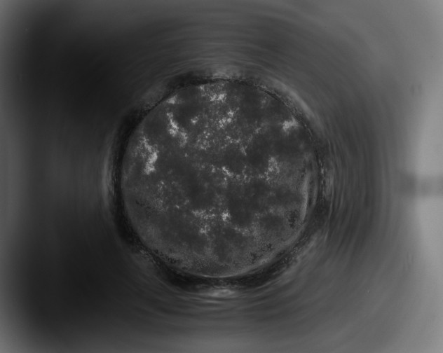 X0000087560643200705181125