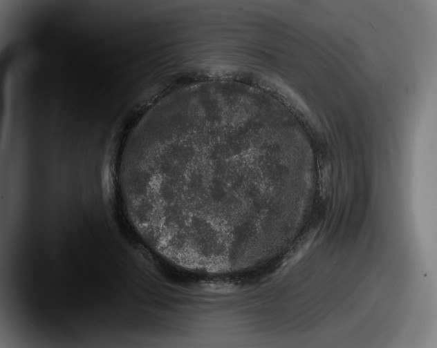X0000087560644200705181125