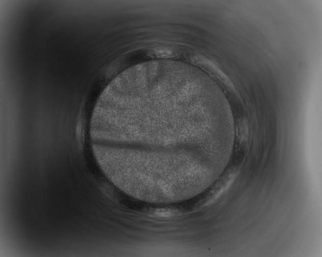 X0000087560645200705181125
