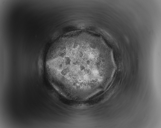 X0000087560646200705181125