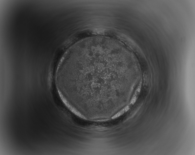 X0000087560648200705181125