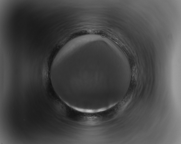 X0000087560650200705181125