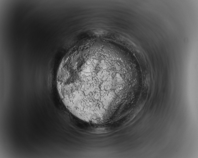 X0000087560651200705181125