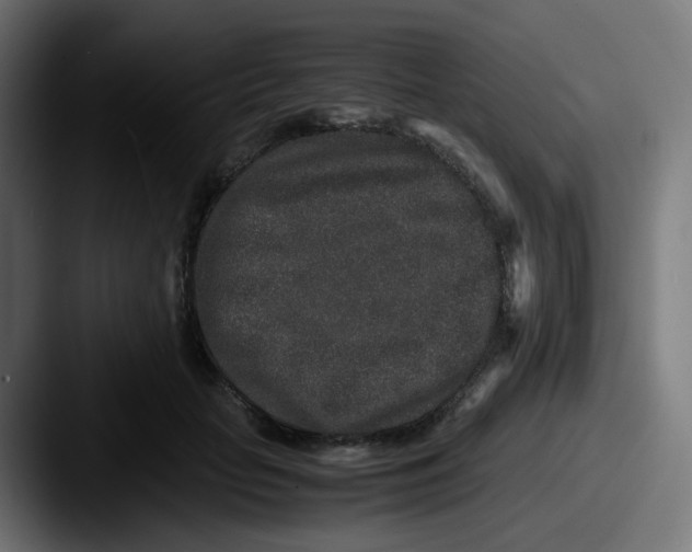 X0000087560653200705181125