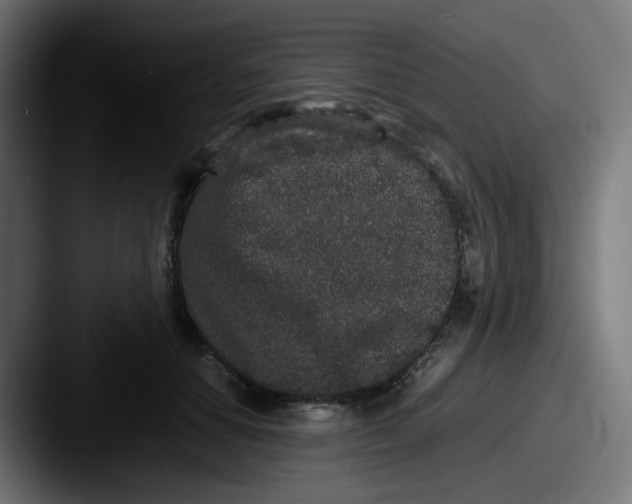 X0000087560654200705181125