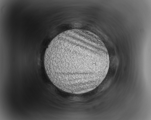 X0000087560655200705181125