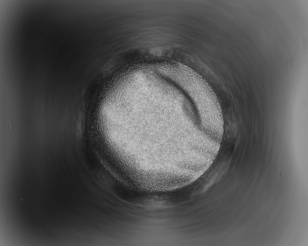 X0000087560656200705181125