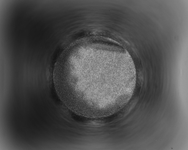 X0000087560657200705181125