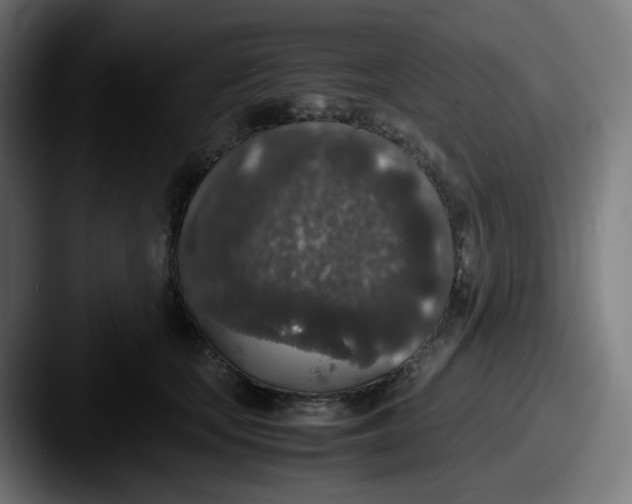 X0000087560659200705181125