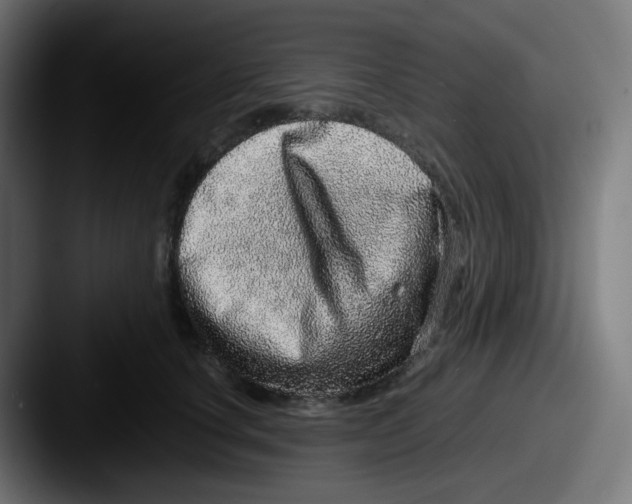 X0000087560660200705181125