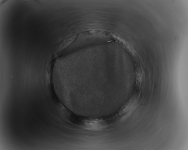 X0000087560661200705181125