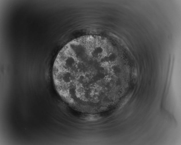 X0000087560663200705181125