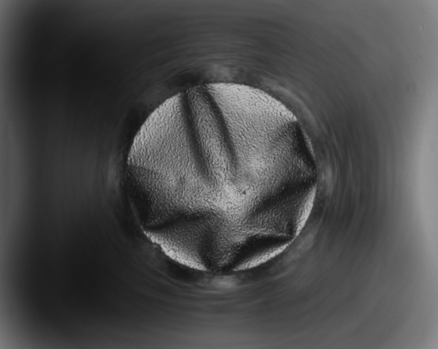 X0000087560665200705181125