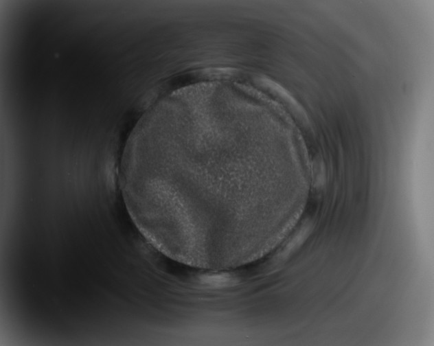 X0000087560669200705181125