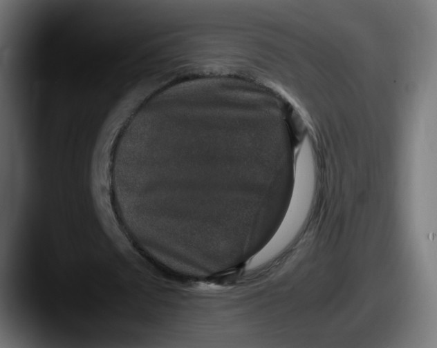 X0000087560673200705181125