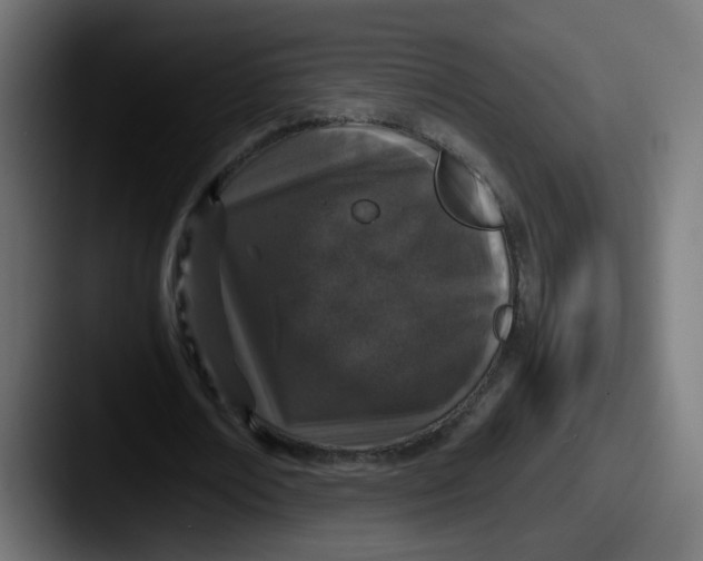 X0000087560674200705181125