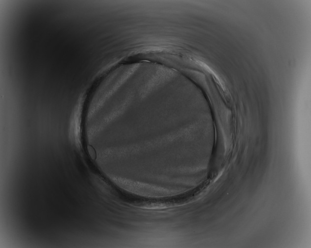 X0000087560677200705181125