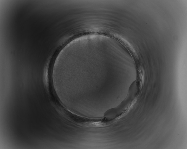 X0000087560678200705181125