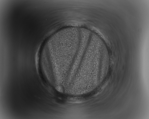 X0000087560679200705181125