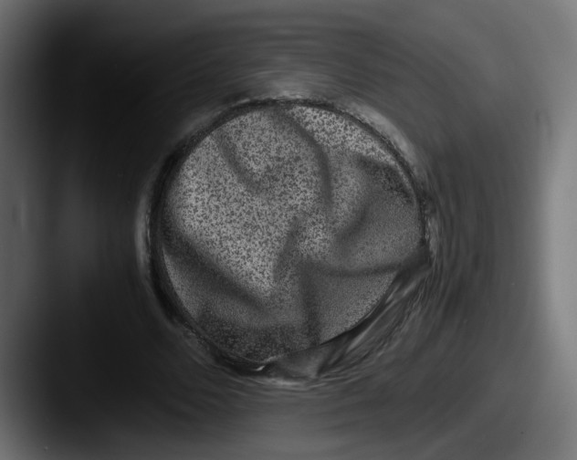 X0000087560680200705181125