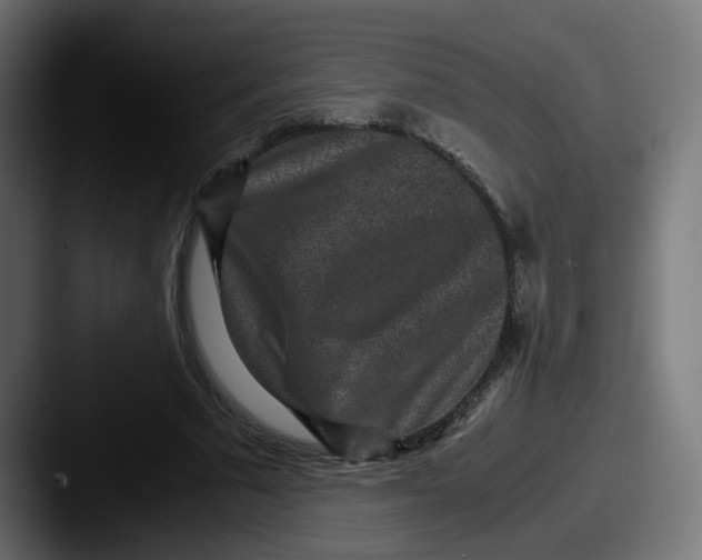 X0000087560681200705181125
