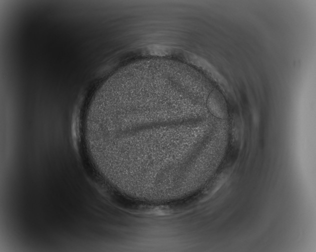 X0000087560683200705181125