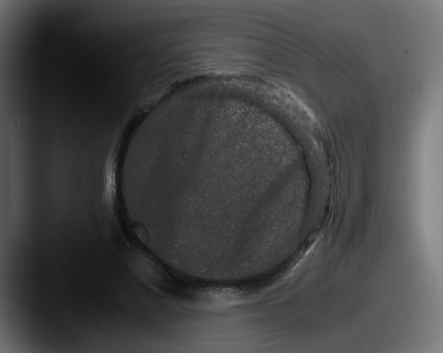 X0000087560685200705181125