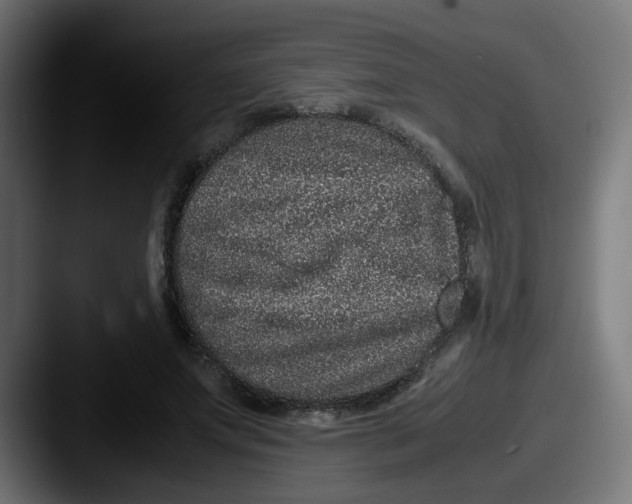 X0000087560687200705181125