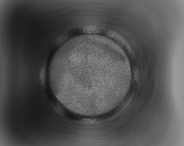 X0000087560690200705181125