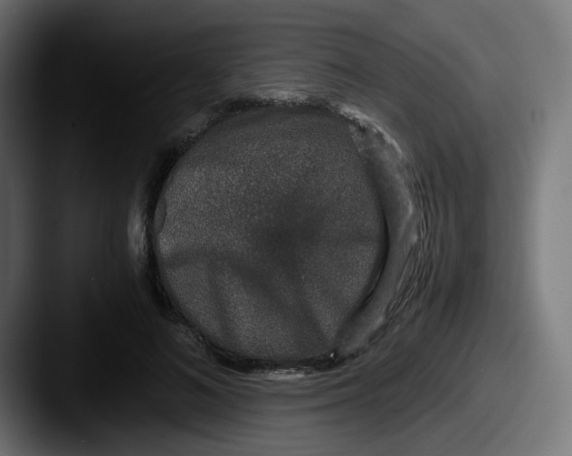 X0000087560692200705181125