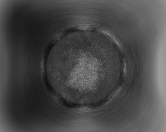 X0000087560696200705181125