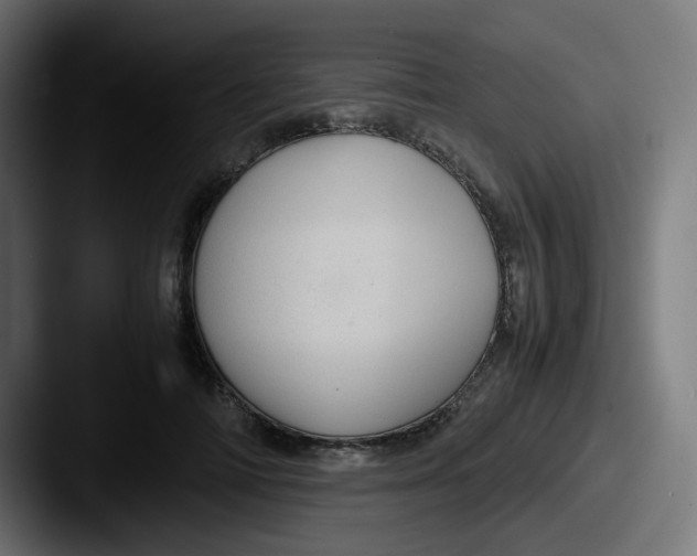 X0000087560698200705181125