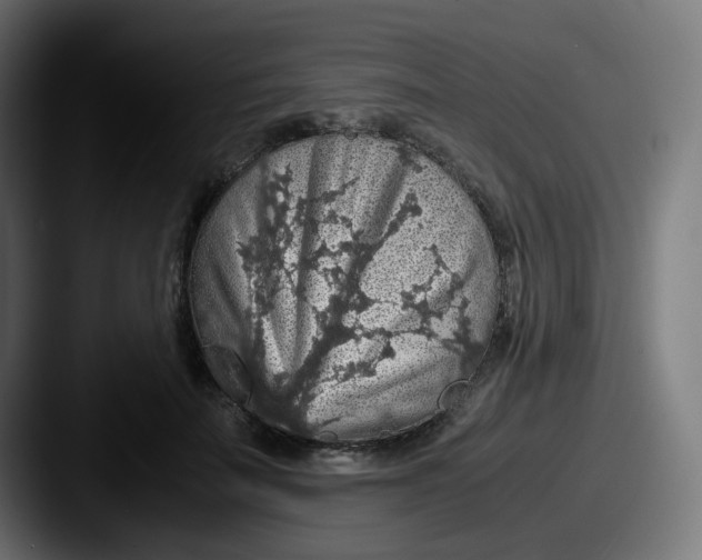 X0000087560699200705181125