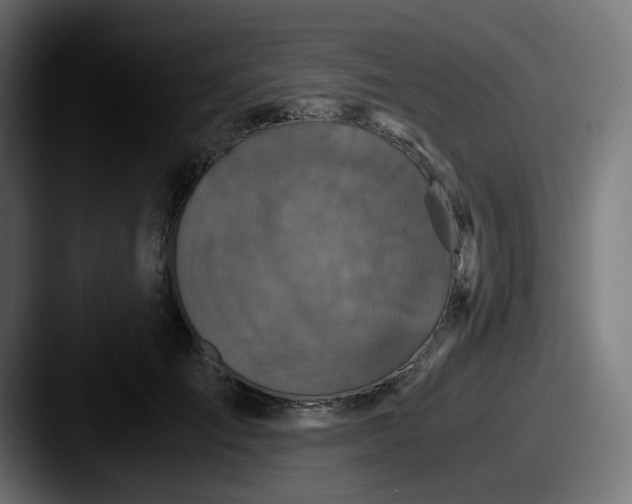 X0000087560701200705181125