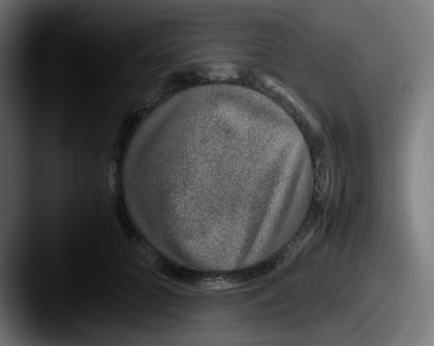 X0000087560704200705181125