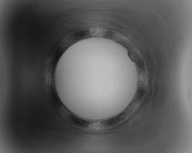 X0000087560705200705181125