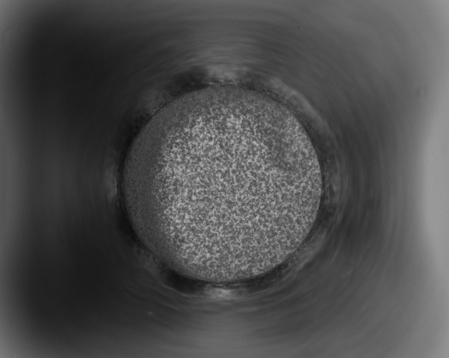 X0000087560706200705181124