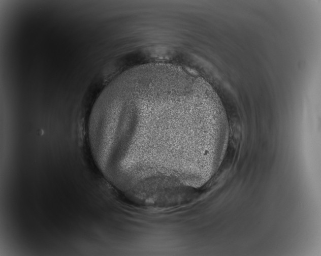 X0000087560707200705181124