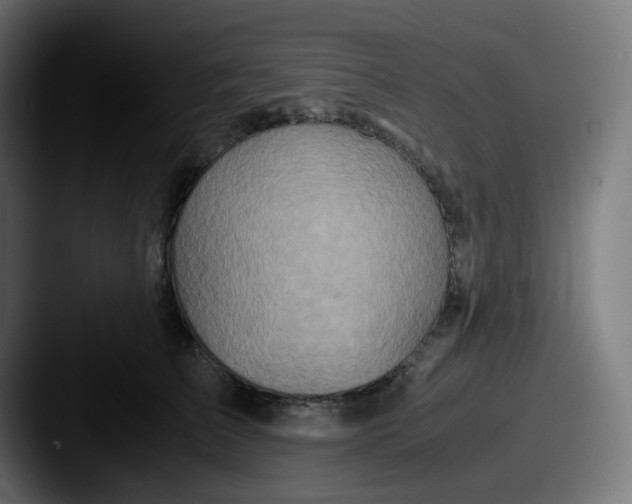 X0000087560709200705181124