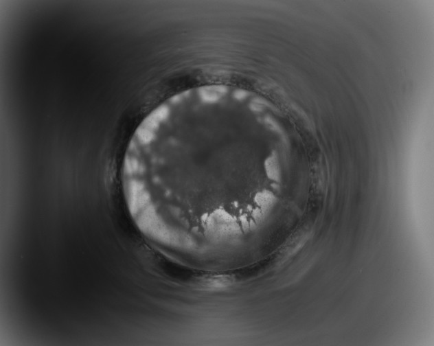 X0000087560711200705181124