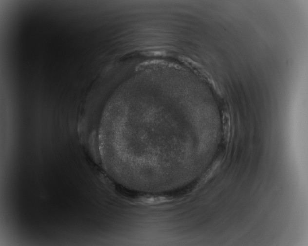 X0000087560712200705181124