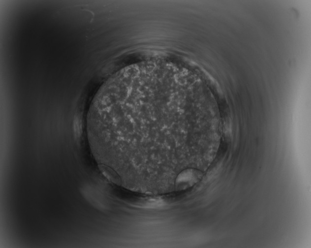 X0000087560715200705181124