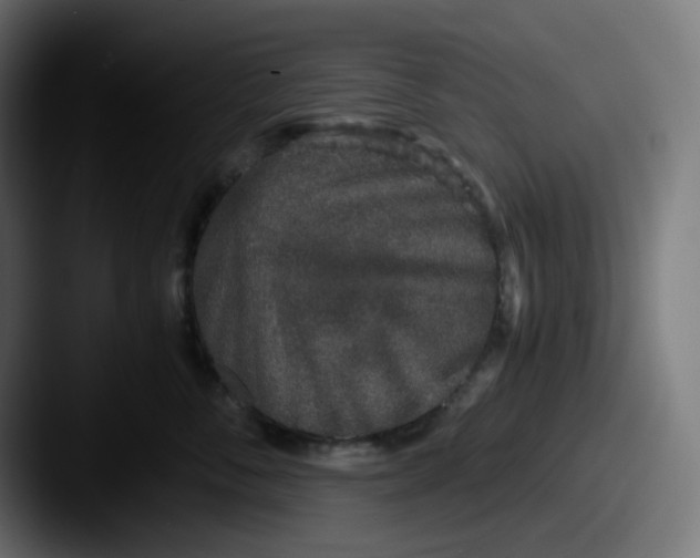 X0000087560716200705181124