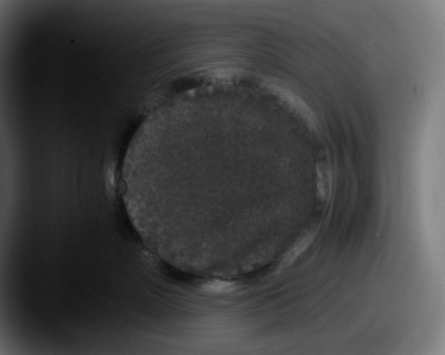X0000087560718200705181124