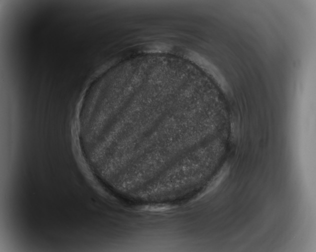 X0000087560721200705181124
